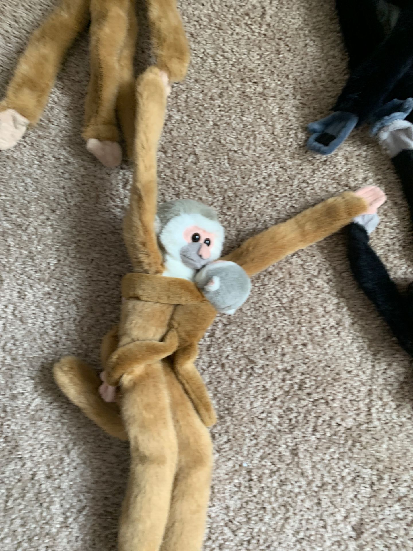 Like *NEW* stuffed Monkeys (7)