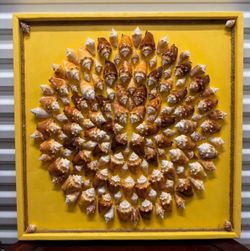 LARGE Brand New Custom Fighting Conch Wall Art