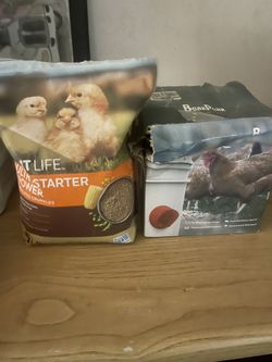 Chicken Food