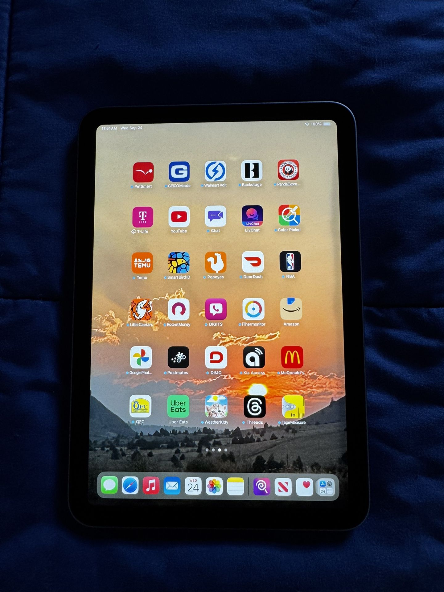 Apple iPad mini Wi-Fi 64GB (2021, 6th Generation) - Space Gray 