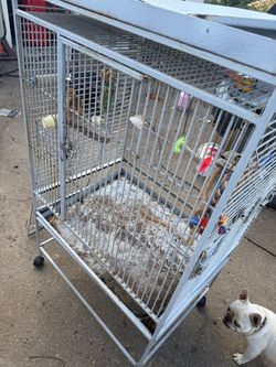 Bird cage