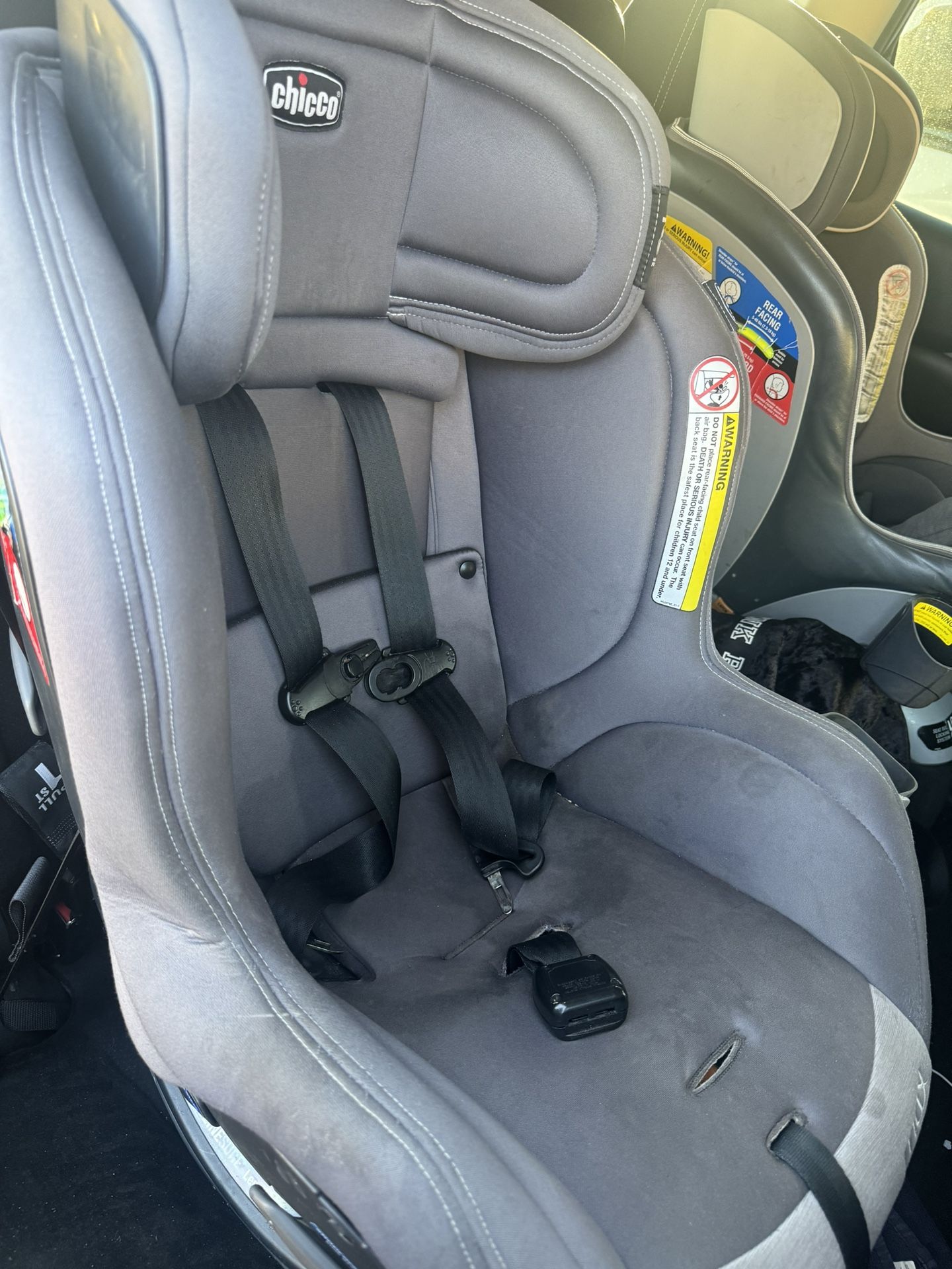 Car Seat