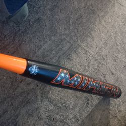 Softball Bat