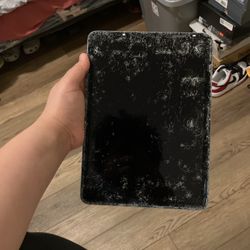 iPad