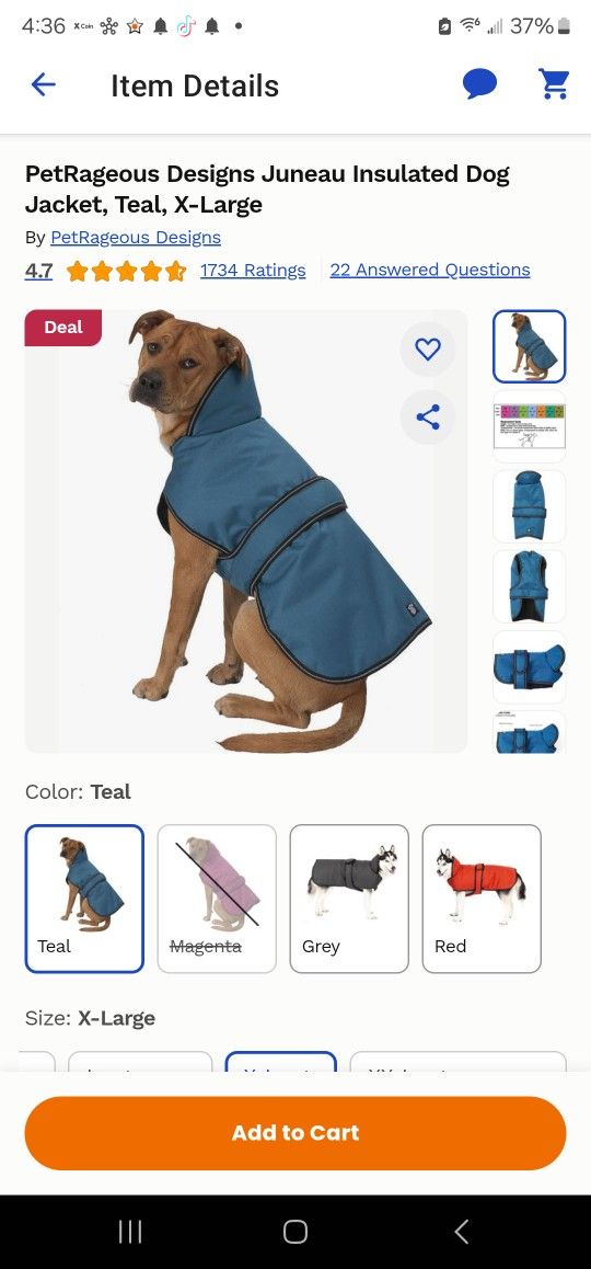 PetRageous juneau dog coat