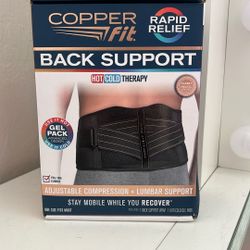 Back Support Belt