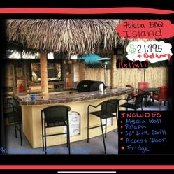 Backyard Grilling Outdoor Kitchen Cocina Palapa BBQ Tv Wall