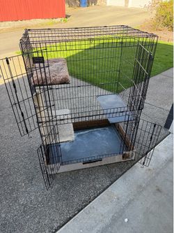 Large Cat Cage