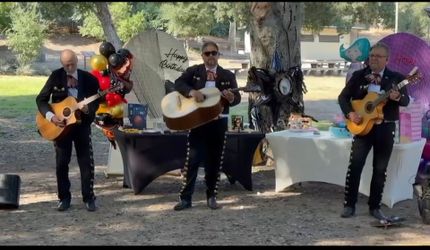 Mariachi guitars