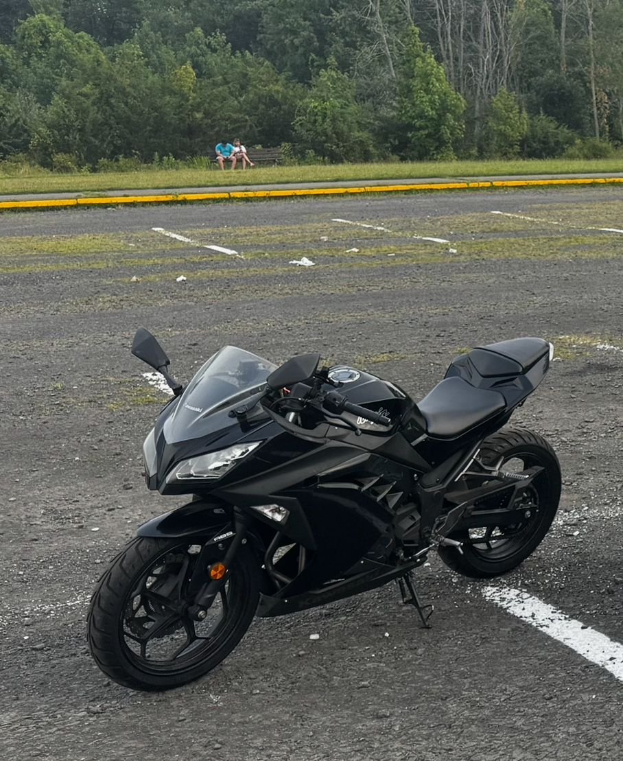 2014 Kawasaki Ninja 300