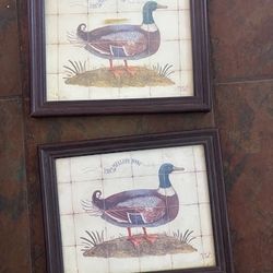 The Mallard Duck Frame Set