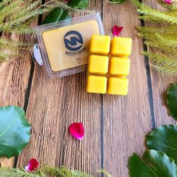 Natural Beeswax Waxmelts