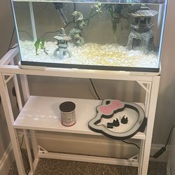 two 20 gallon fish tanks with everything