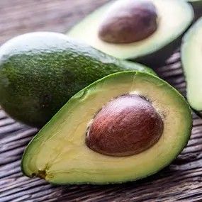 Grafted Dwarf Bacon Avocado Tree 😃😃🌿🌿🌿🥑🥑🥑🥑