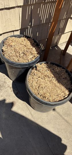 Free wood chips / mulch