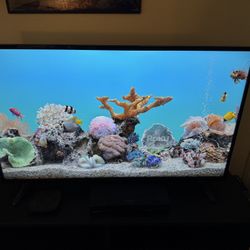 4K Tv Player And Roku Bundle