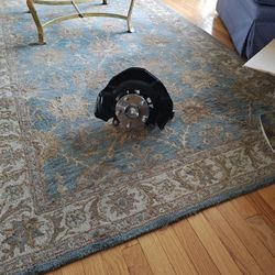 Hub Bearing Assembly 