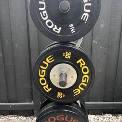 ROGUE TRAINING 2.0 PLATES