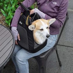Kurgo Soft Sides Dog Carrier Large
