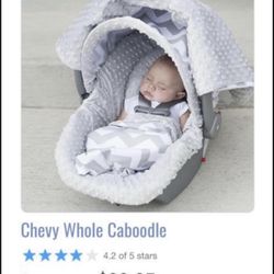 Car seat Cover From Canopy couture NEW!!!!