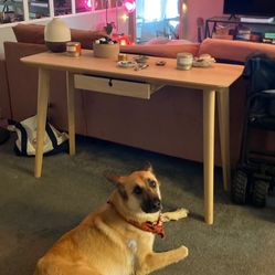 Brand New Ikea Desk