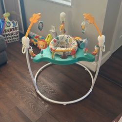 Fisher Price Baby Bouncer 