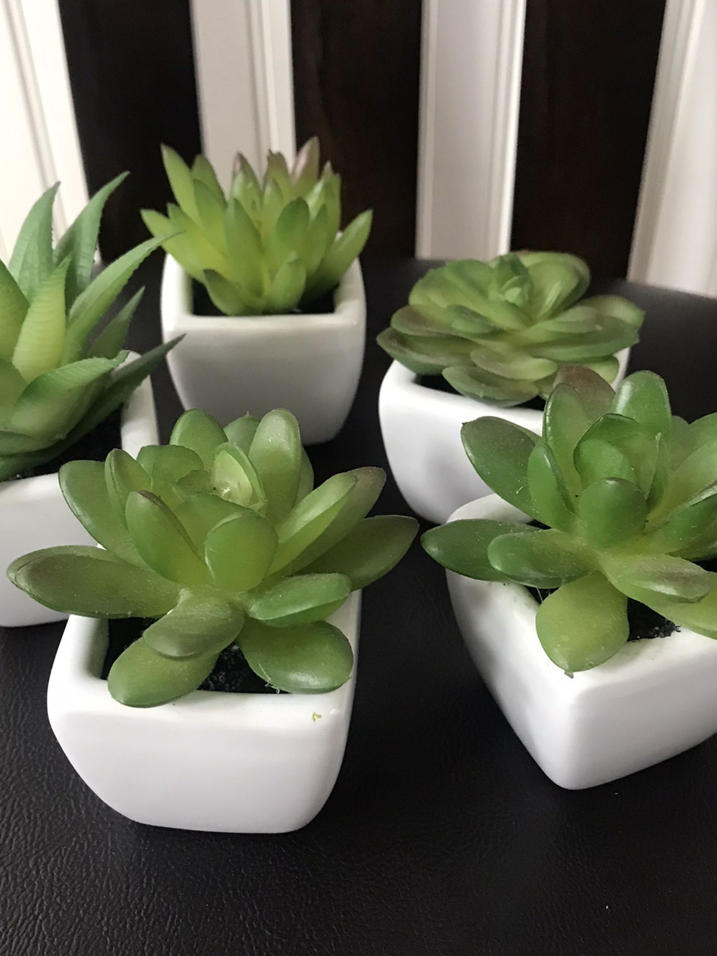 Mini Succulent Decor Plants 2”x2”