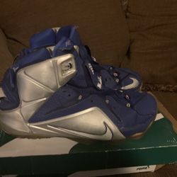 Lebron 12s 