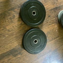45lb Bumper Plates
