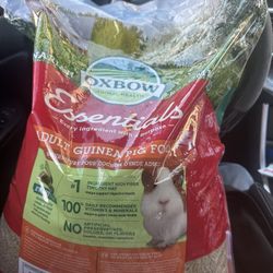 guinea pig food