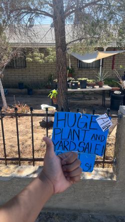 🌱HUGE PLANT & MINI YARD SALE – ! 🧢