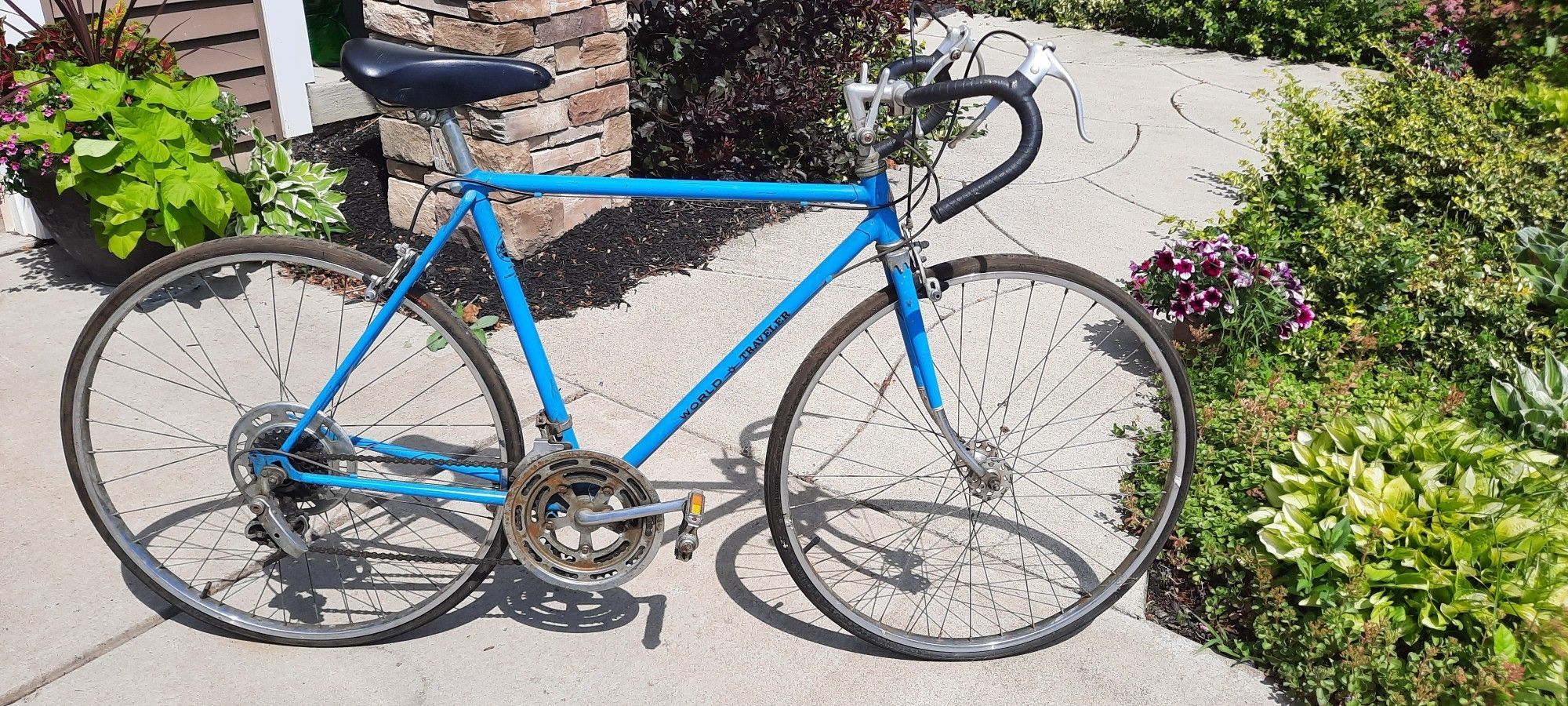 Vintage Schwinn World Traveler