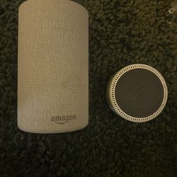 Amazon Echo and Echo Dot
