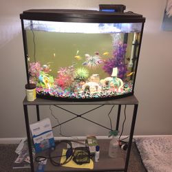 30 Gallon Bow Front Fish Tank
