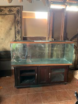 60"X 24" fish tank