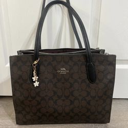Nina coach bag