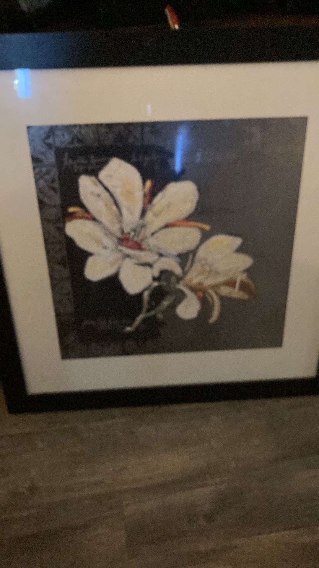 2 Flower Pictures