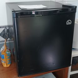 Igloo Mini Fridge 