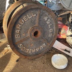 45 pound plates Iron cast comes with 2