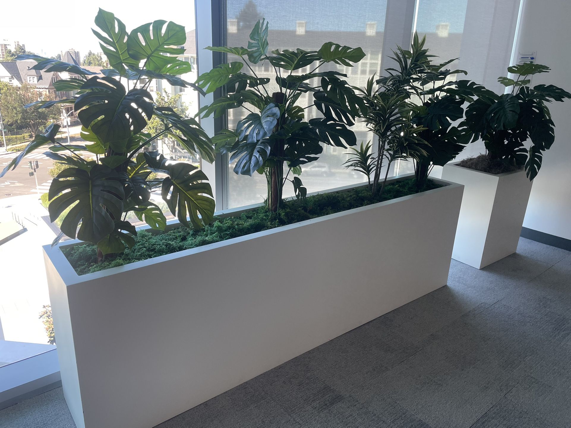 Designer Planters Plants Partitions