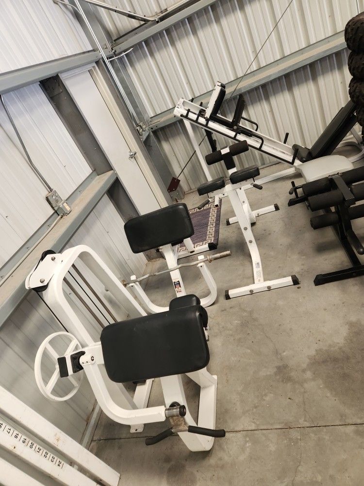 Home Gym Exercise Workout Equipment Weights