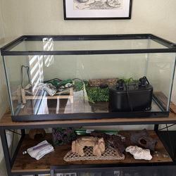 40 Gallon Tank with Accessories