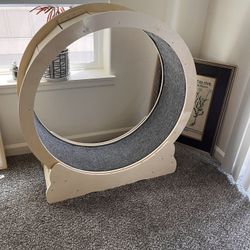 Cat Wheel