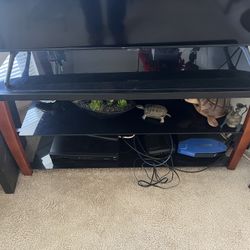 TV Stand Table 