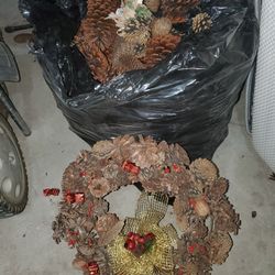 Pine Cones,diffrent Sizes And Shapes