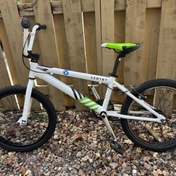 DK Sentry 20” BMX Bike