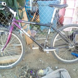 1 Trek And  2 Gt Dyno s Vertigo $300