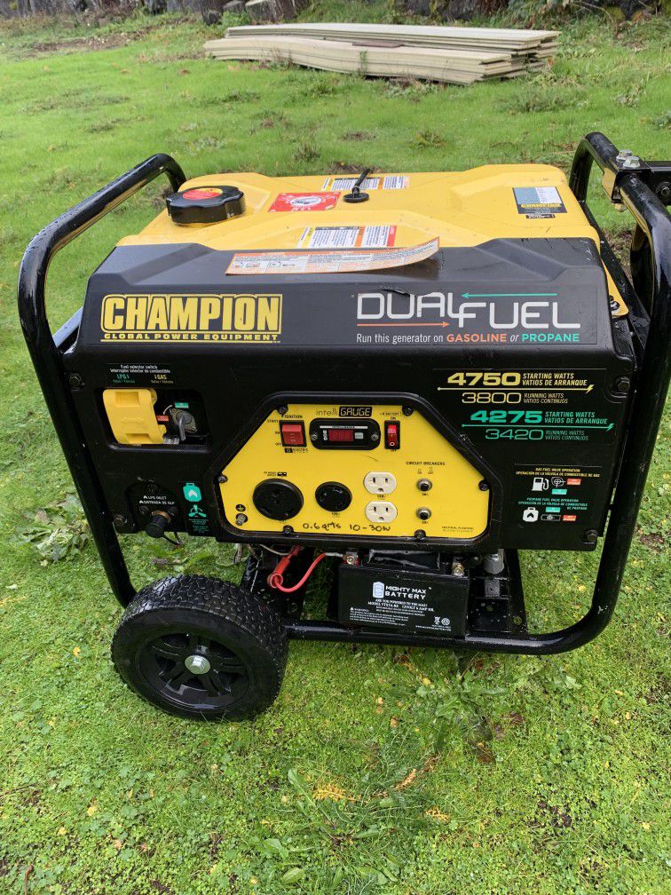 Champion Dual Fuel Generator 