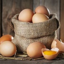 Organic Free Range Eggs