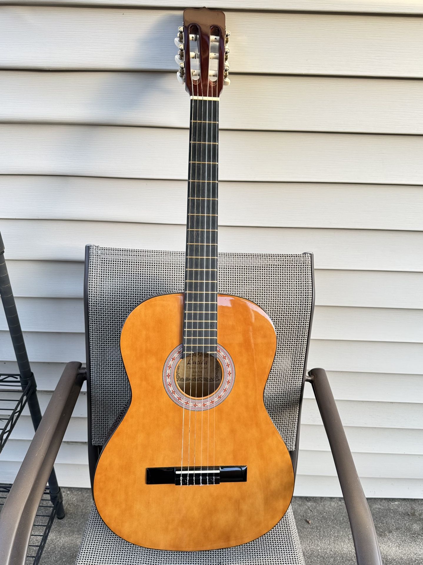 Acoustic Guitar